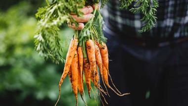 can carrots help combat covid